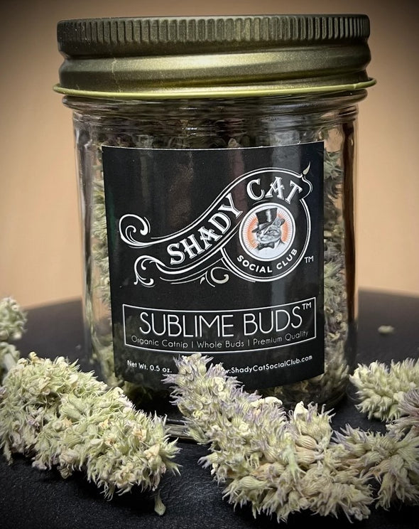 Shady Cat Social Club Catnip Jar