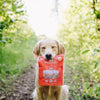 Stella Lamb Heart Treats