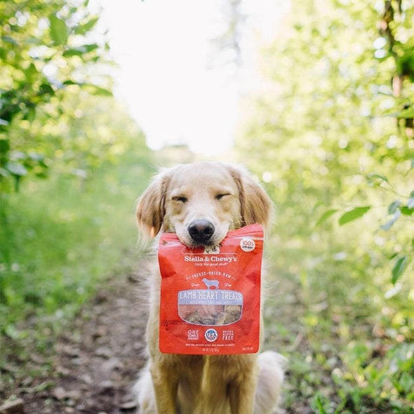 Stella Lamb Heart Treats