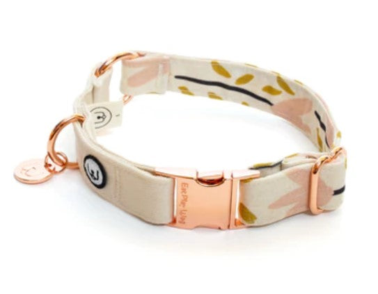 Eat Play Wag Dog Collars