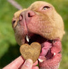 Suzie's CBD Treats for Big Dogs 25pc 8mg