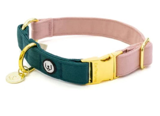 Eat Play Wag Dog Collars