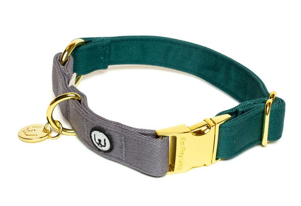 Eat Play Wag Dog Collars