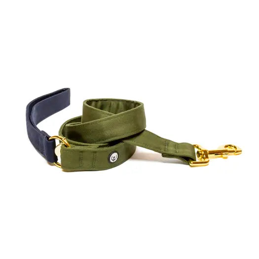 Eat Play Wag Dog Standard Leashes