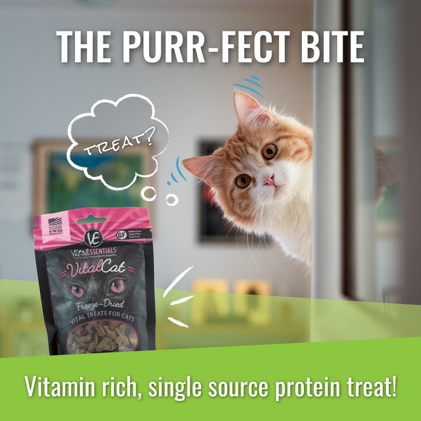Vital Essentials CAT Ahi Tuna Treats
